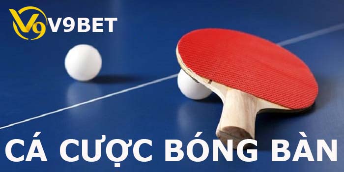 cá cược bóng bàn tại nhà cái V9bet